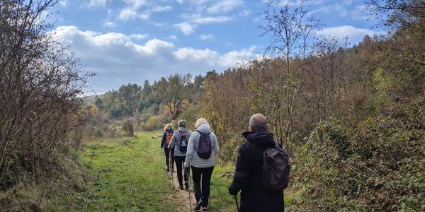 Marche nordique - vendredi - 10h30-12h