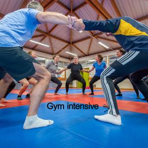 Gym intensive - jeudi - 20h15-21h15